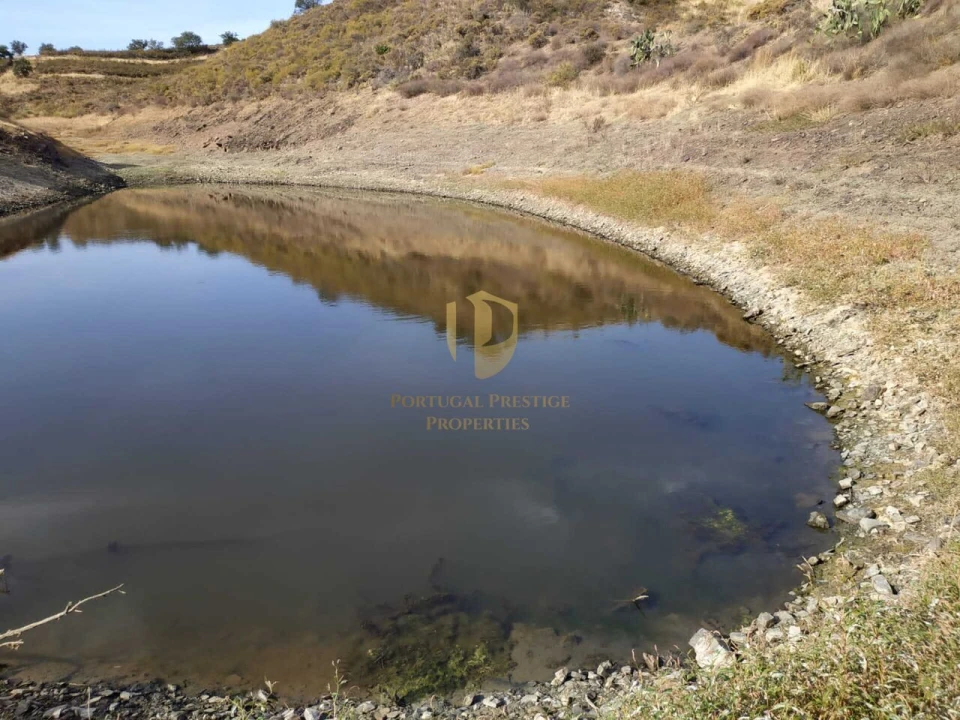 Negócio para Venda em Castro Marim Foto 37