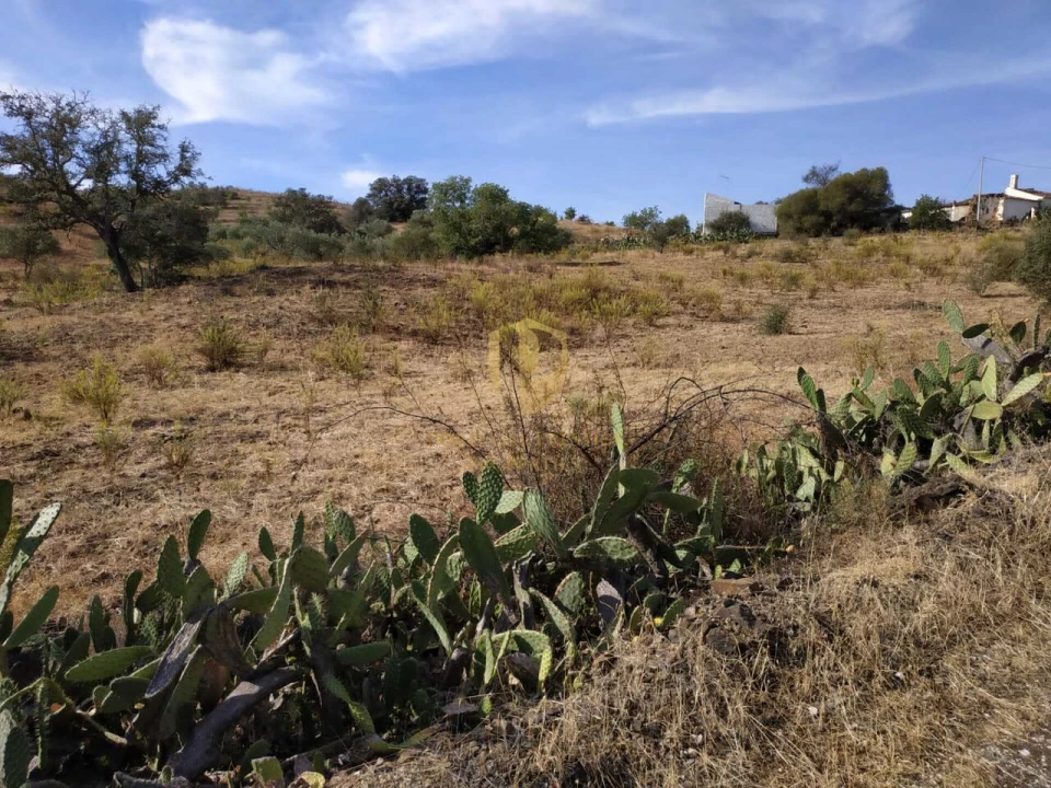 Negócio para Venda em Castro Marim Foto 44
