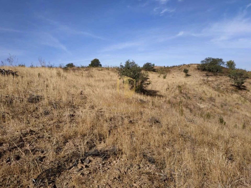 Negócio para Venda em Castro Marim Foto 57