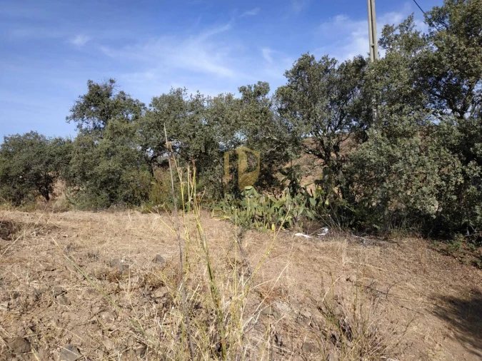 Negócio para Venda em Castro Marim Foto 31