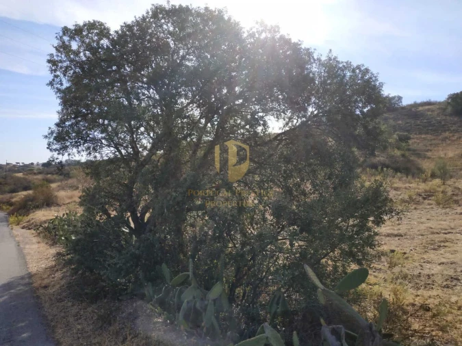 Negócio para Venda em Castro Marim Foto 45