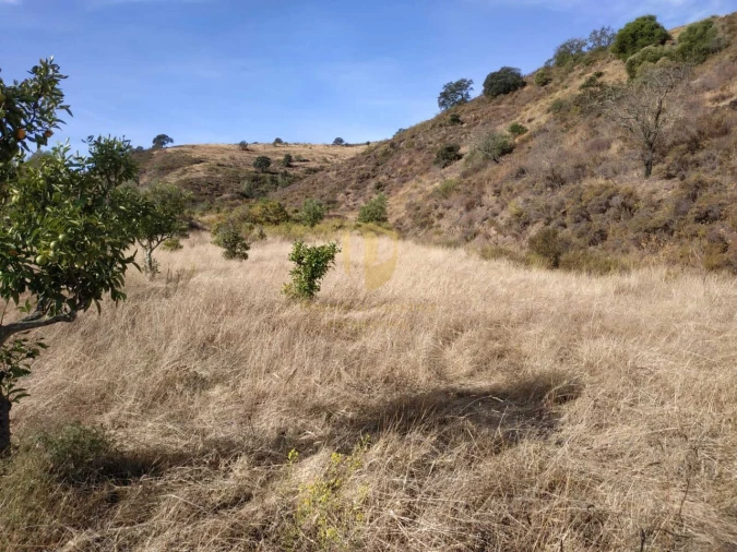 Negócio para Venda em Castro Marim Foto 46