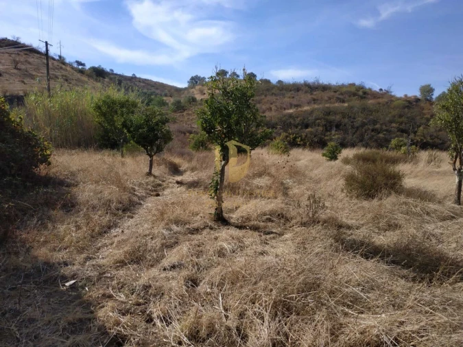 Negócio para Venda em Castro Marim Foto 48