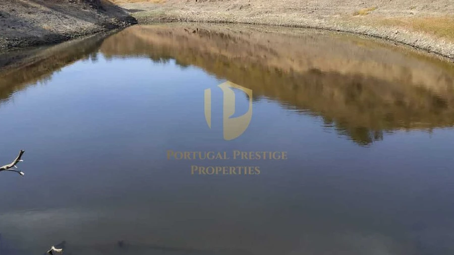 Negócio para Venda em Castro Marim