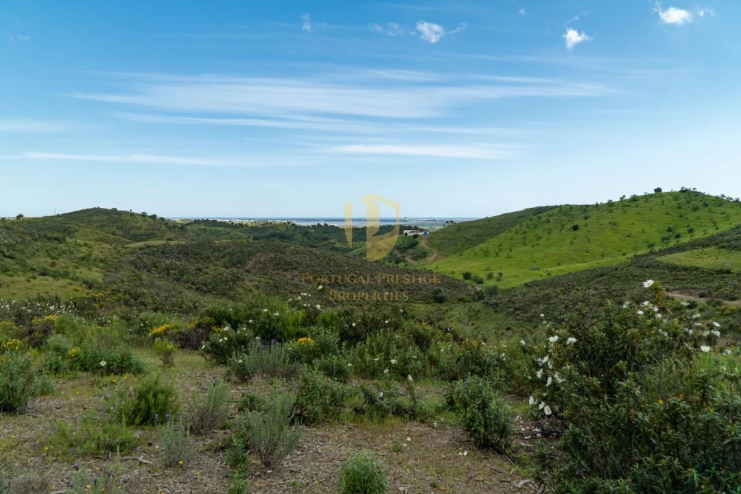 Terreno para Venda em Castro Marim Foto 12
