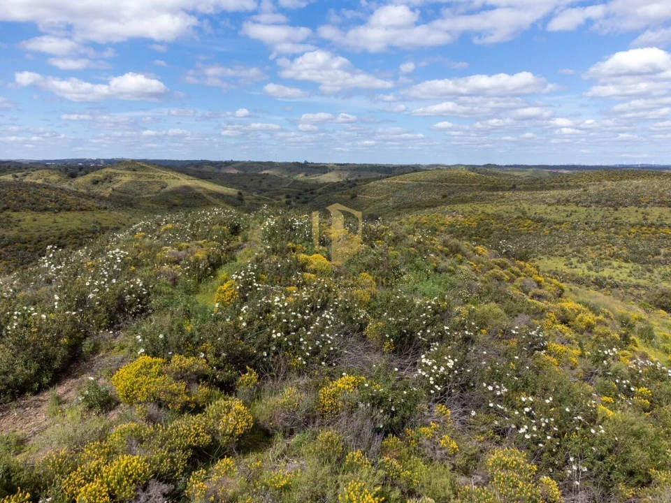 Terreno para Venda em Castro Marim Foto 15