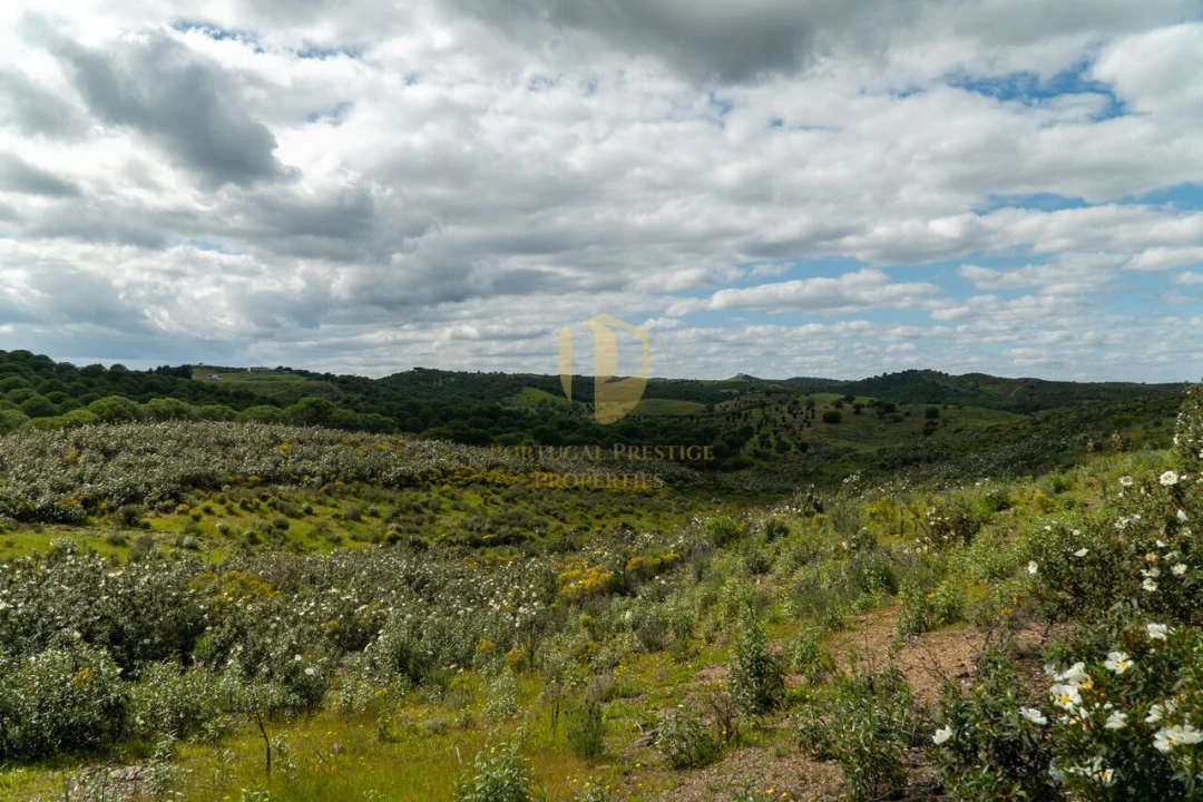 Terreno para Venda em Castro Marim Foto 25