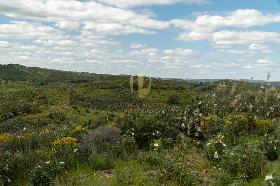 Terreno para Venda em Castro Marim Foto 28