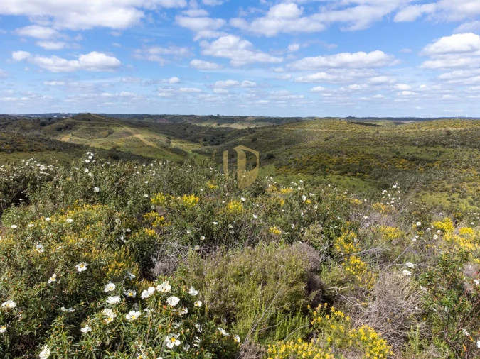 Terreno para Venda em Castro Marim Foto 4