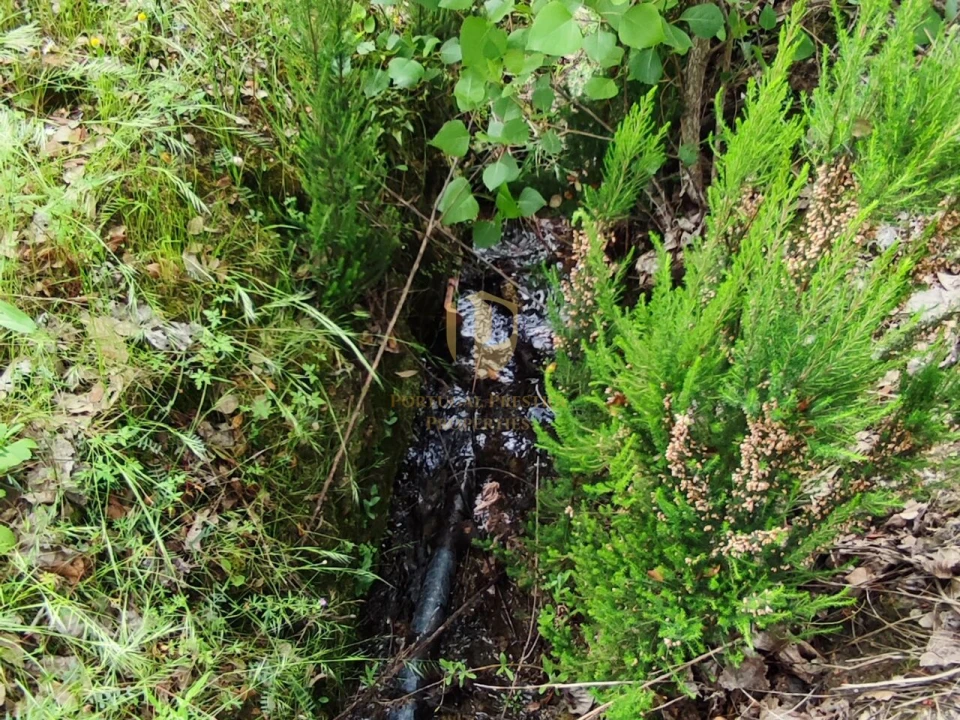 Terreno para Venda em Casal Comba Foto 10