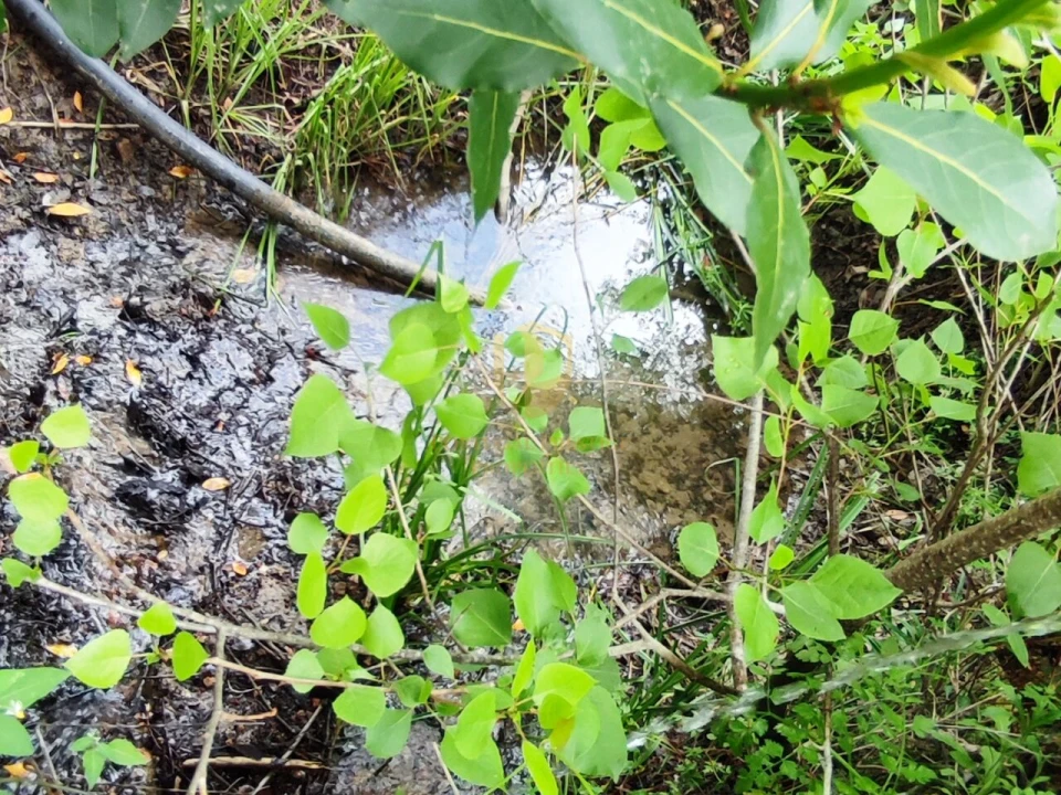 Terreno para Venda em Casal Comba Foto 11