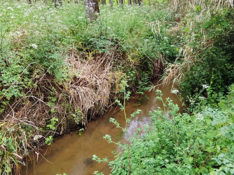 Terreno para Venda em Casal Comba Foto 14