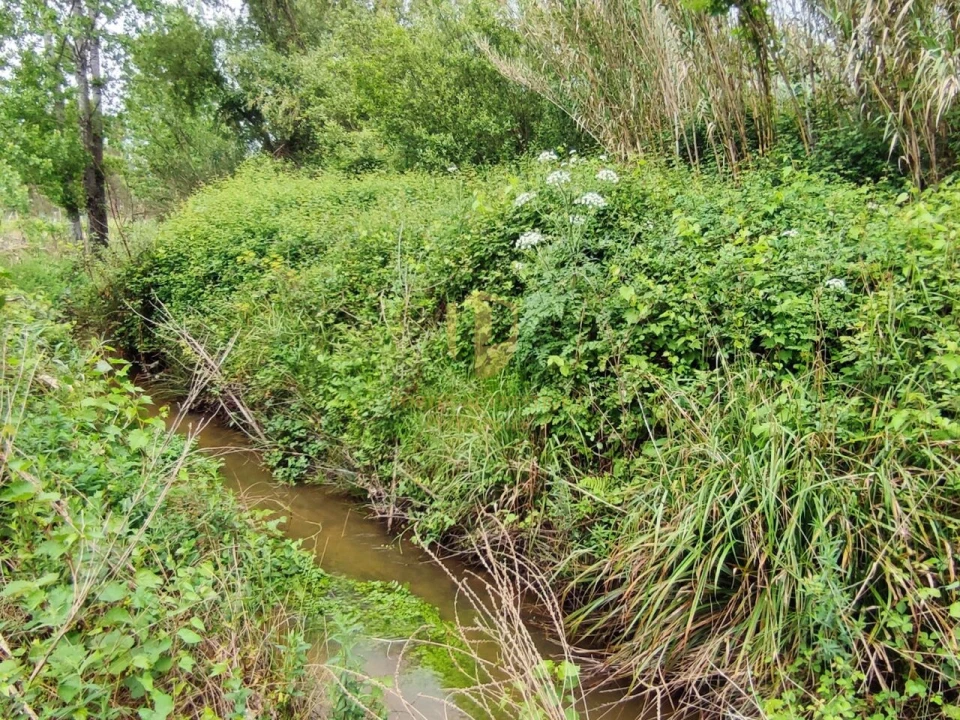 Terreno para Venda em Casal Comba Foto 15