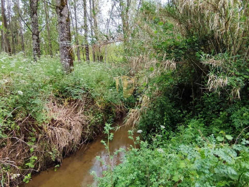 Terreno para Venda em Casal Comba Foto 16