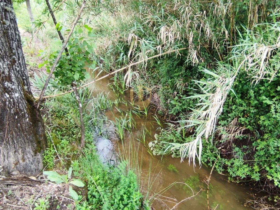 Terreno para Venda em Casal Comba Foto 20