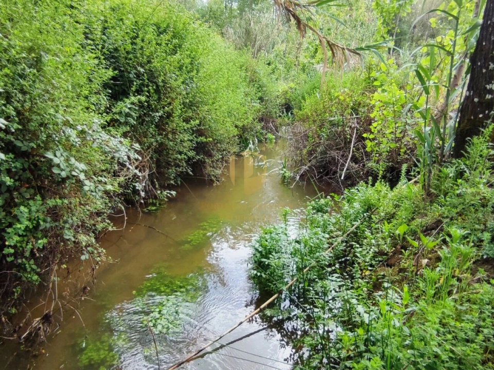 Terreno para Venda em Casal Comba Foto 22