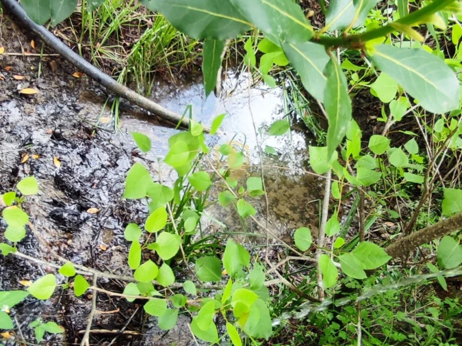 Terreno para Venda em Casal Comba Foto 12
