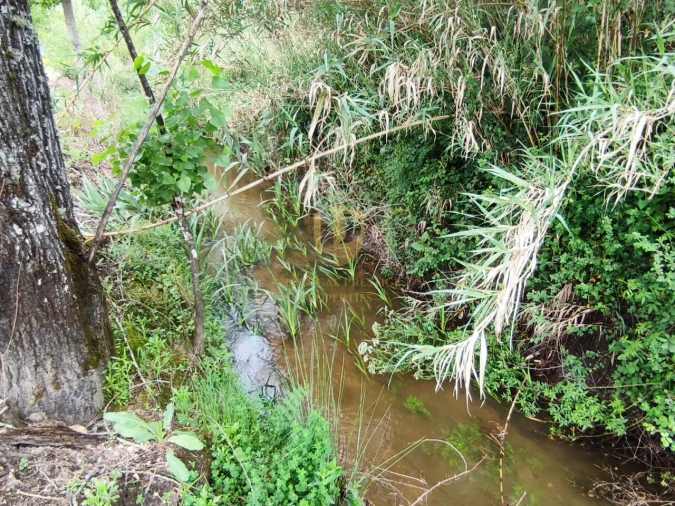 Terreno para Venda em Casal Comba Foto 20