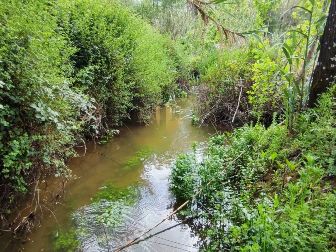 Terreno para Venda em Casal Comba Foto 22
