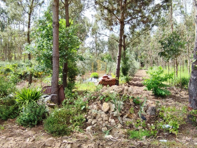 Terreno para Venda em Casal Comba Foto 28