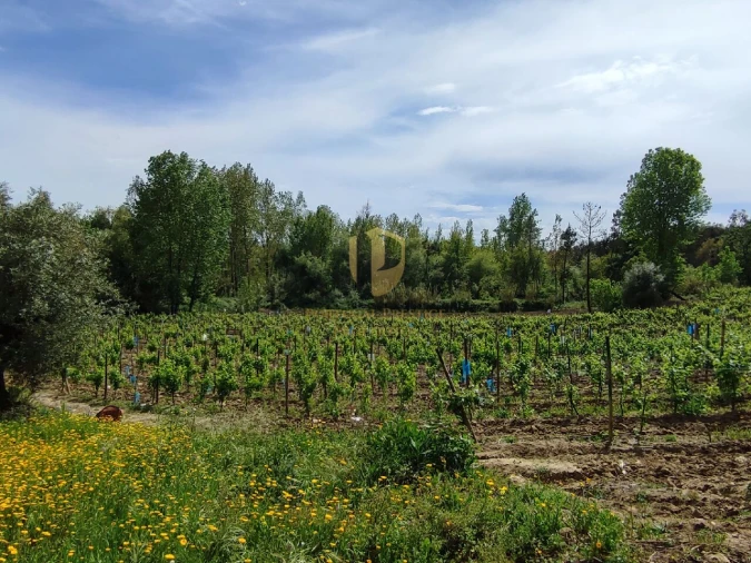 Terreno para Venda em Casal Comba Foto 32
