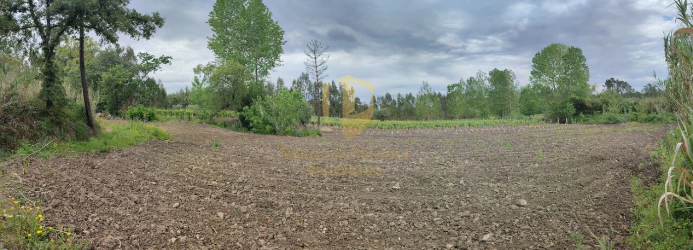 Terreno para Venda em Casal Comba Foto 34