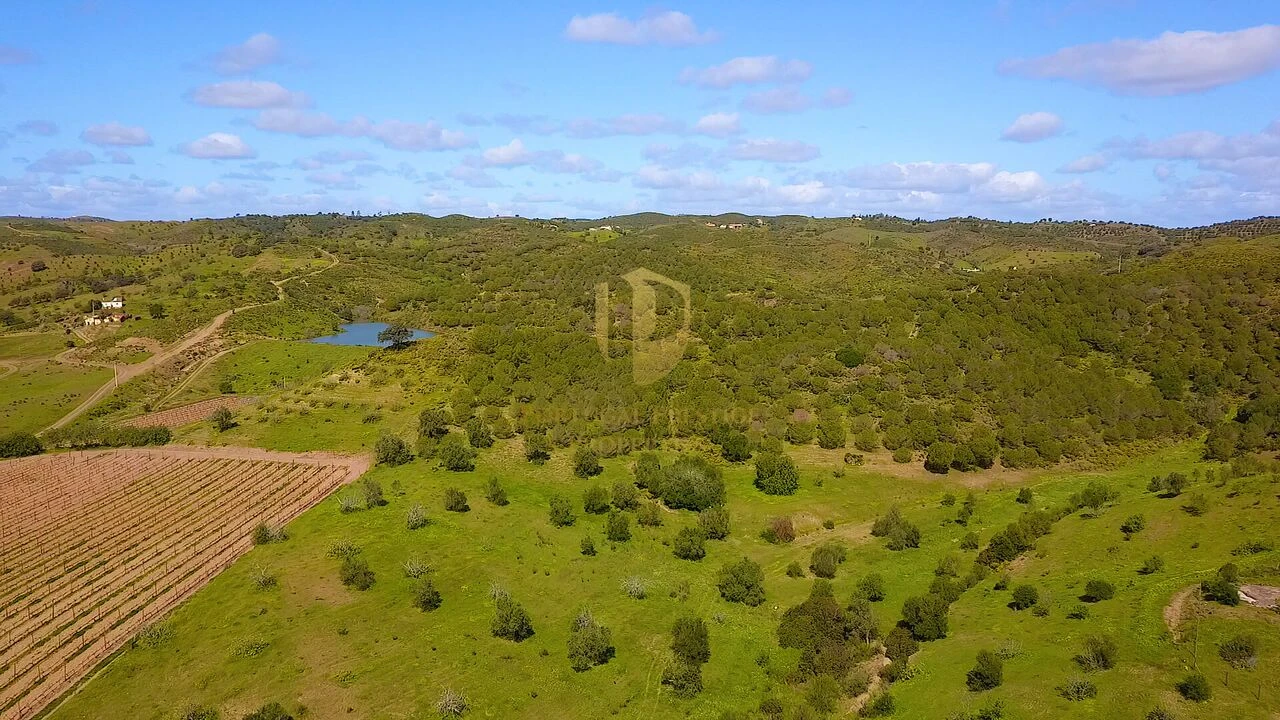 Terreno para Venda em Castro Marim Foto 14