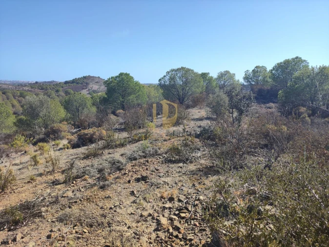 Terreno para Venda em Castro Marim Foto 11