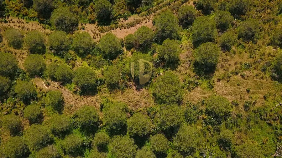 Terreno para Venda em Castro Marim Foto 21