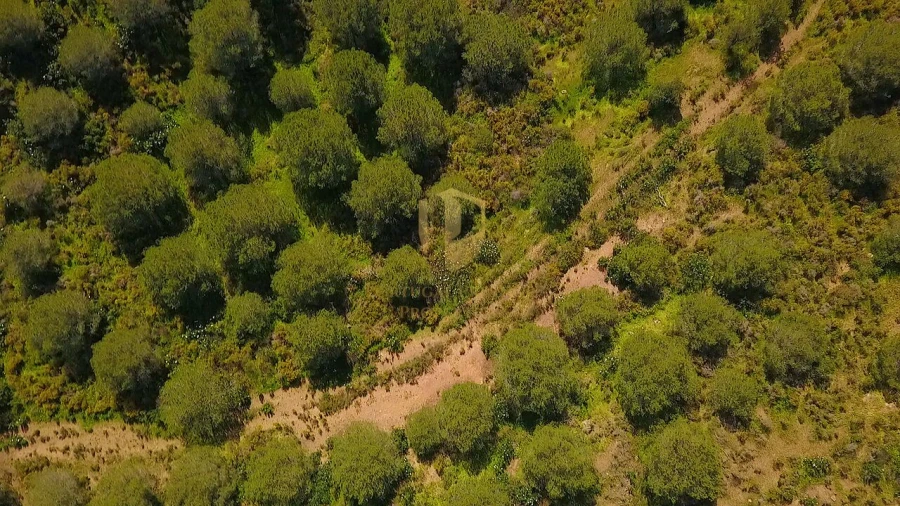 Terreno para Venda em Castro Marim Foto 26
