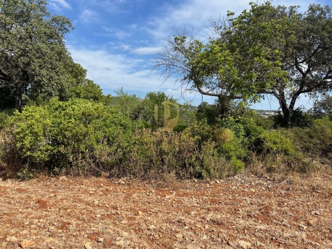 Terreno para Venda em São Brás de Alportel Foto 3
