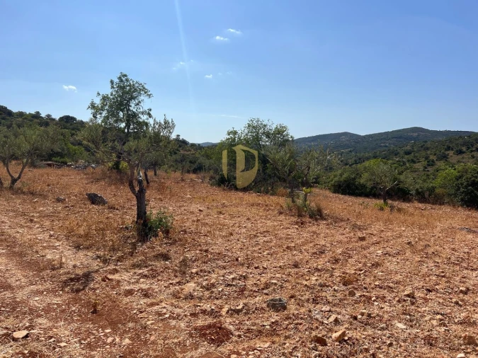 Terreno para Venda em São Brás de Alportel