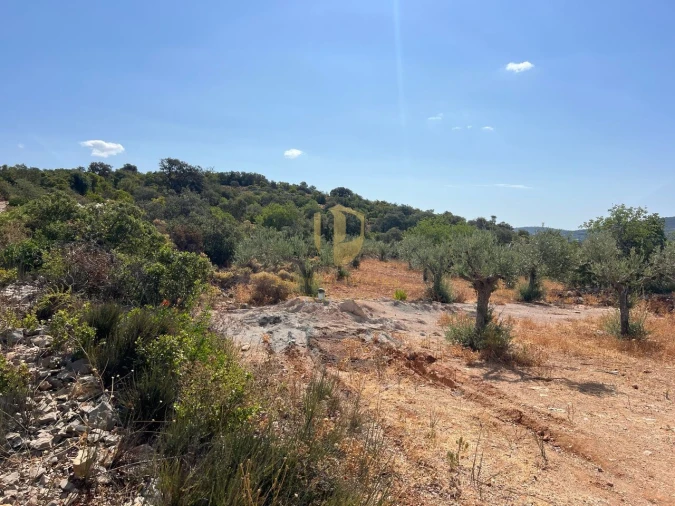 Terreno para Venda em São Brás de Alportel Foto 6