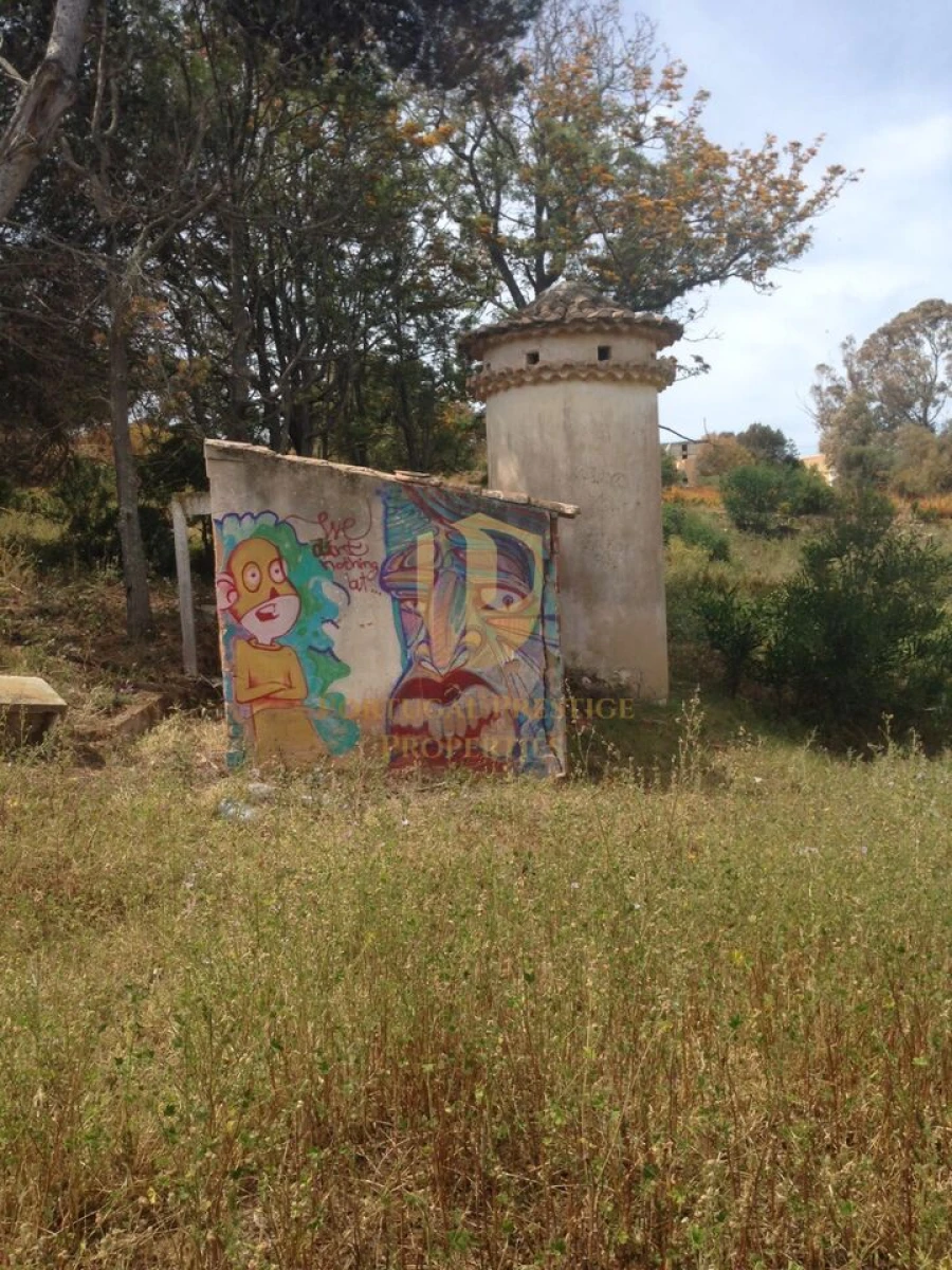 Terreno para Venda em Lagos (São Sebastião e Santa Maria) Foto 15