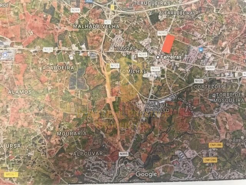 Terreno para Venda em Ferreiras Foto 3