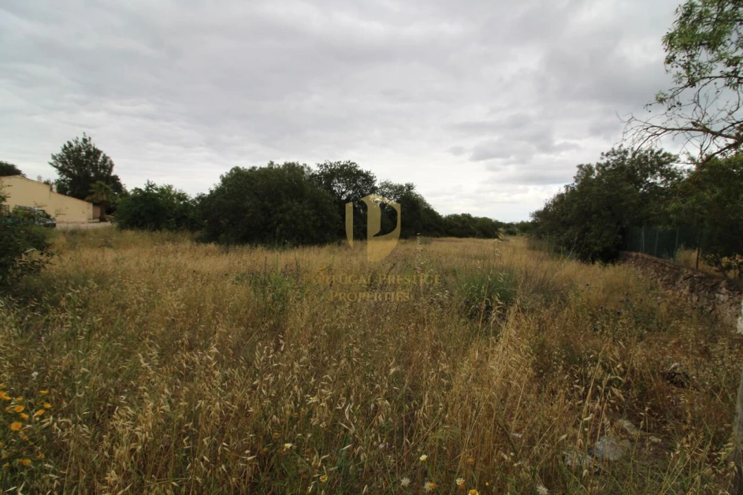 Terreno para Venda em Ferreiras Foto 9