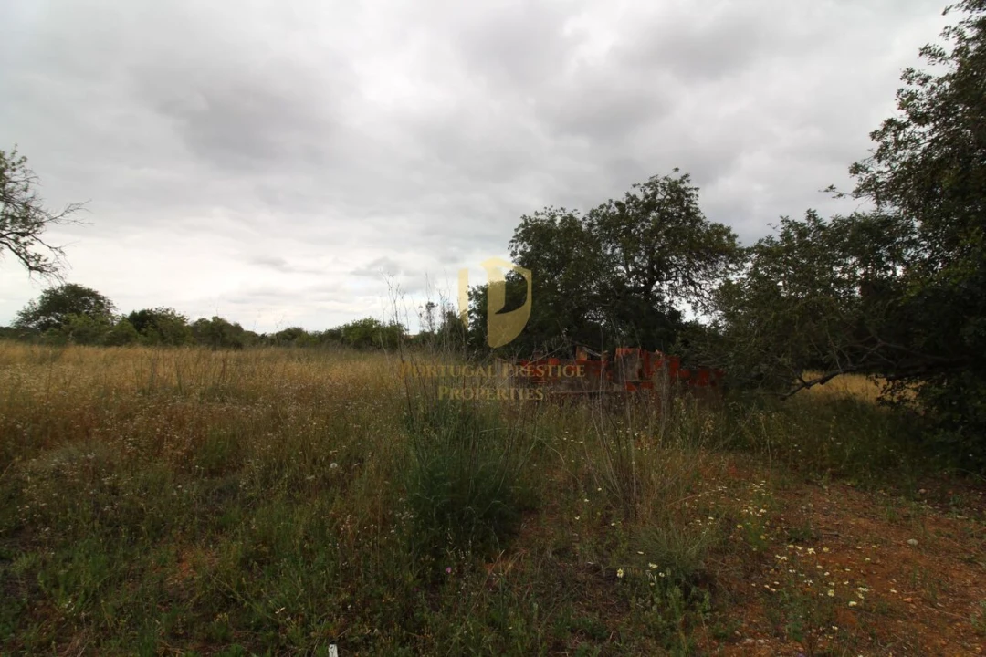 Terreno para Venda em Ferreiras Foto 14