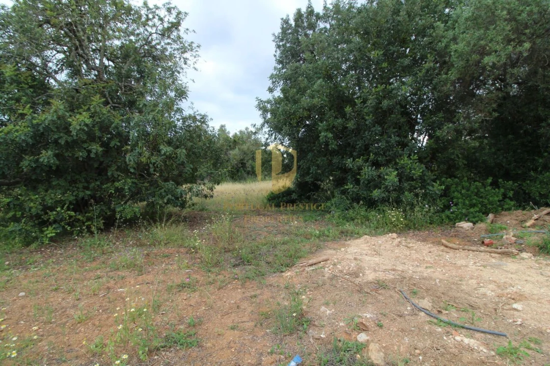 Terreno para Venda em Ferreiras Foto 15