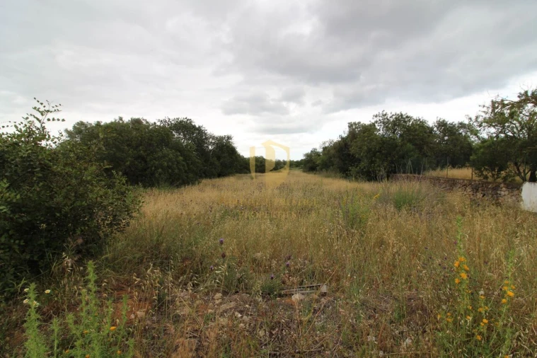 Terreno para Venda em Ferreiras Foto 8