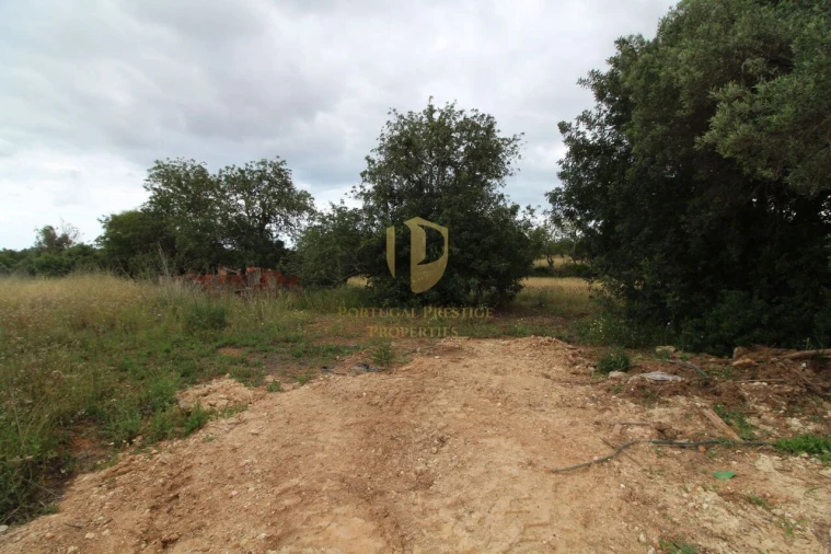 Terreno para Venda em Ferreiras Foto 12