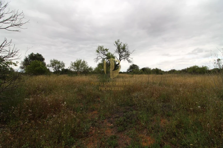 Terreno para Venda em Ferreiras Foto 13