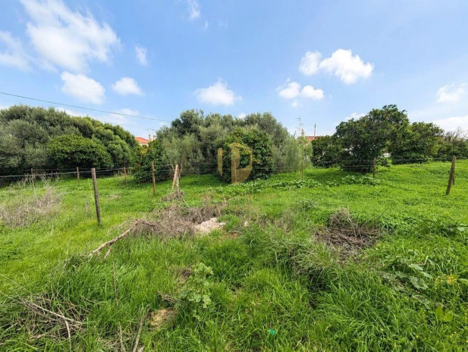 Terreno para Venda em Altura Foto 2