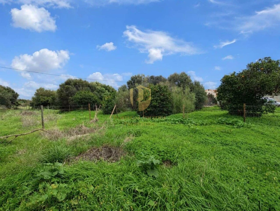 Terreno para Venda em Altura Foto 4