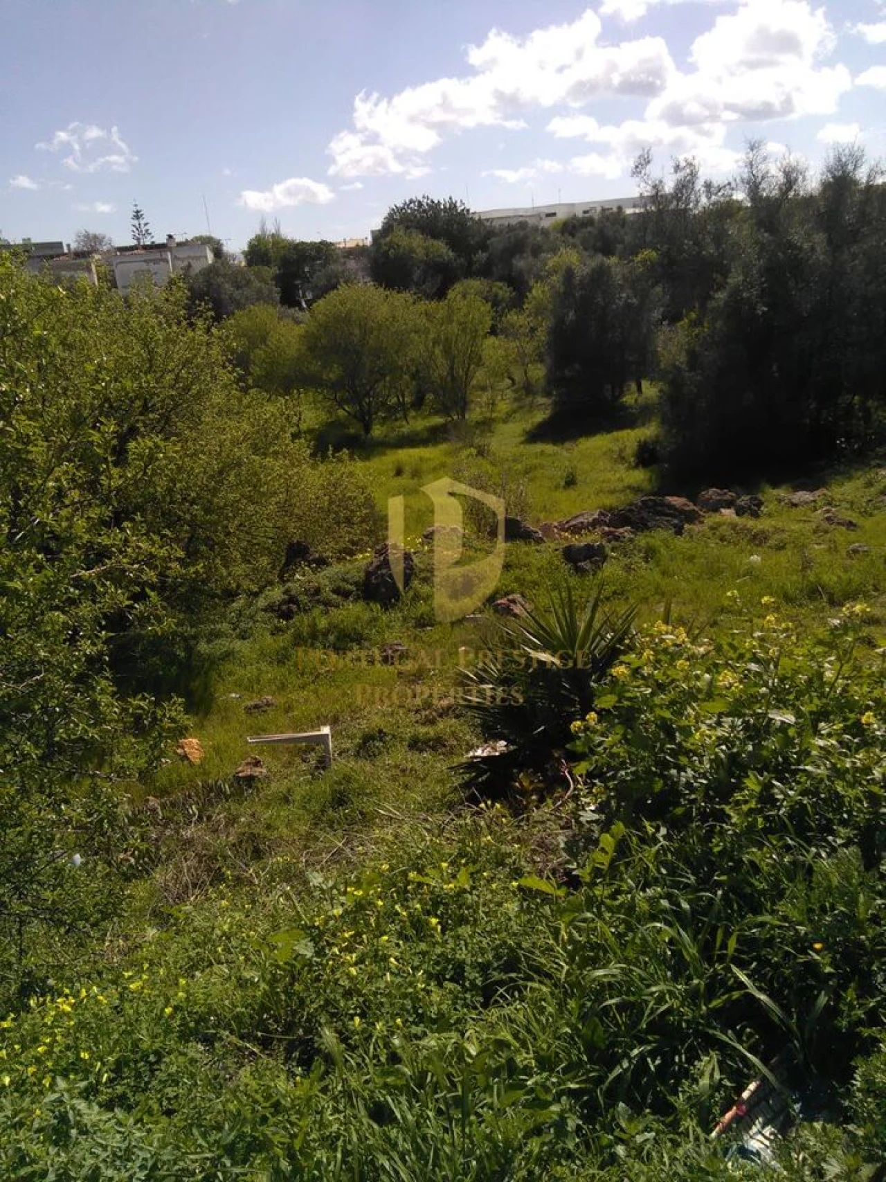 Terreno para Venda em Lagos (São Sebastião e Santa Maria) Foto 2