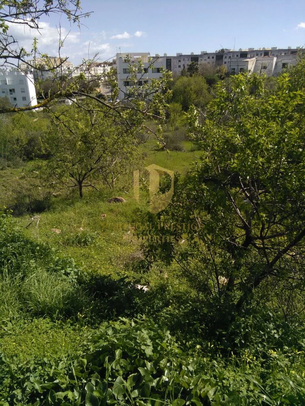 Terreno para Venda em Lagos (São Sebastião e Santa Maria) Foto 3