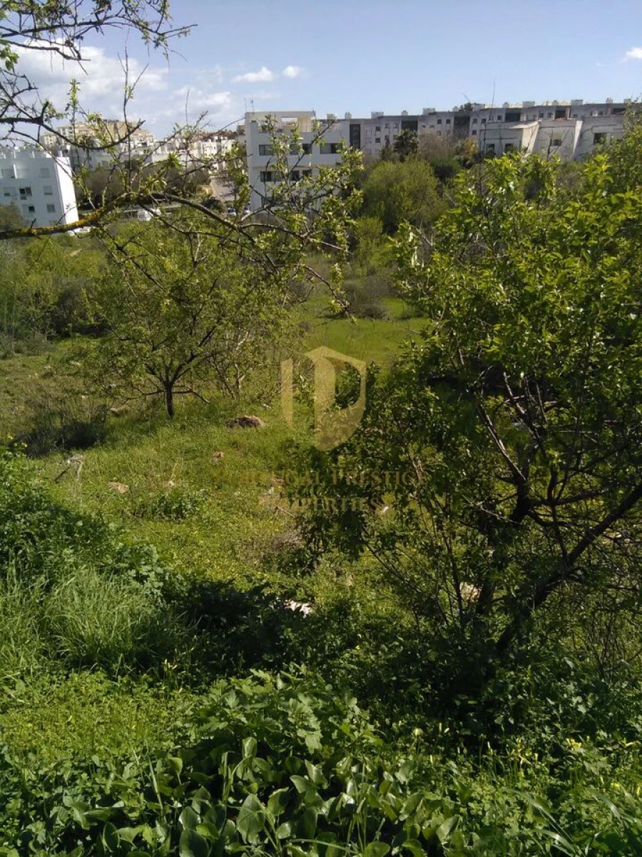 Terreno para Venda em Lagos (São Sebastião e Santa Maria) Foto 3