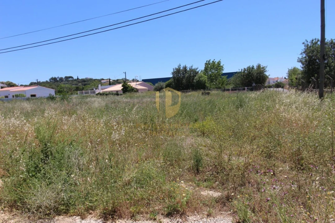 Armazém para Venda em São Brás de Alportel Foto 5