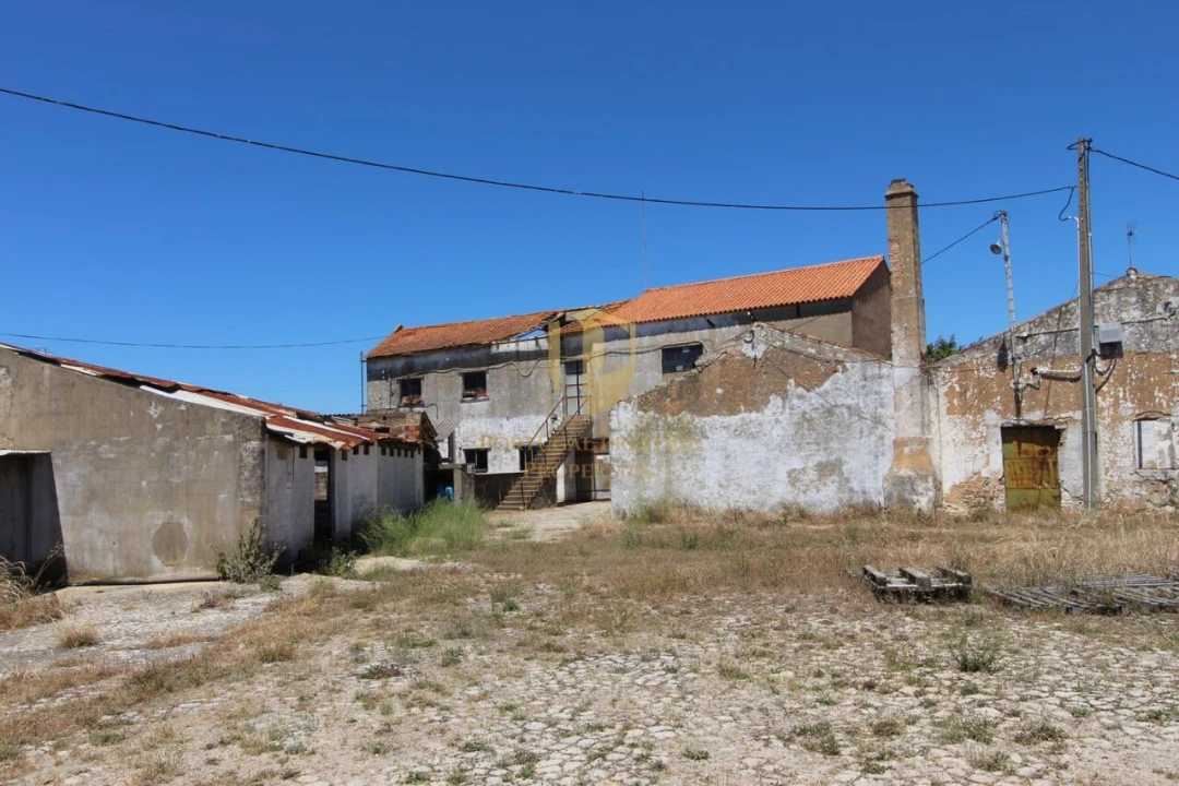 Armazém para Venda em São Brás de Alportel Foto 6