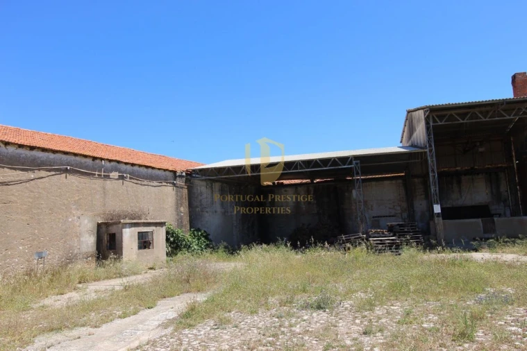 Armazém para Venda em São Brás de Alportel Foto 8