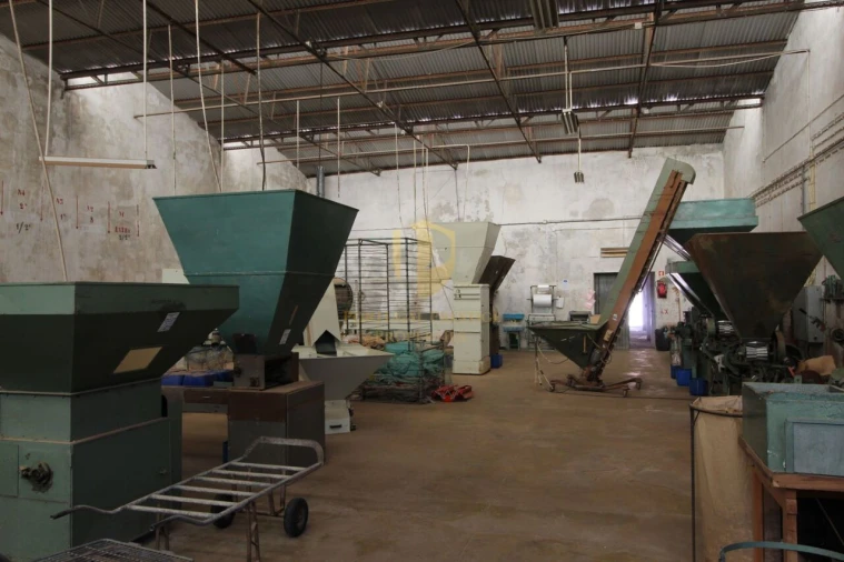 Armazém para Venda em São Brás de Alportel Foto 14